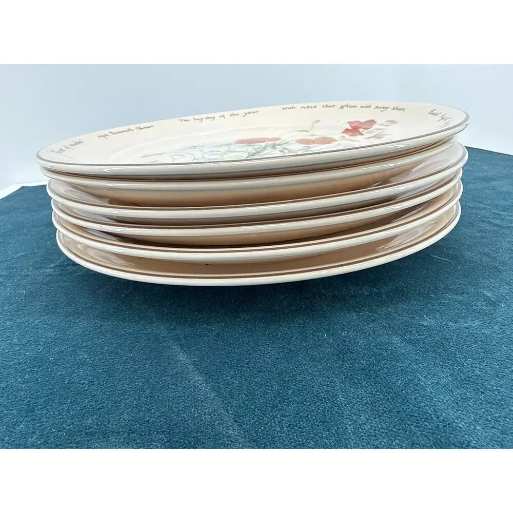 Noritake Country Diary Wildflower Poppy Dinner Plates Set 6 Vintage Ireland 10